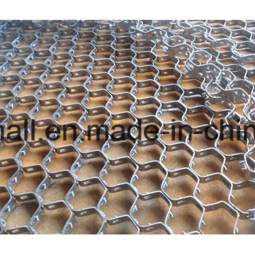 Ss 304 Hex Net /Refractory Linings 5*5cm